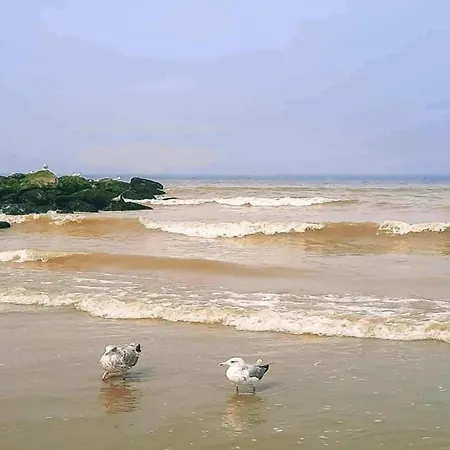 In By The Beach, Cleaning Included Nieuwpoort