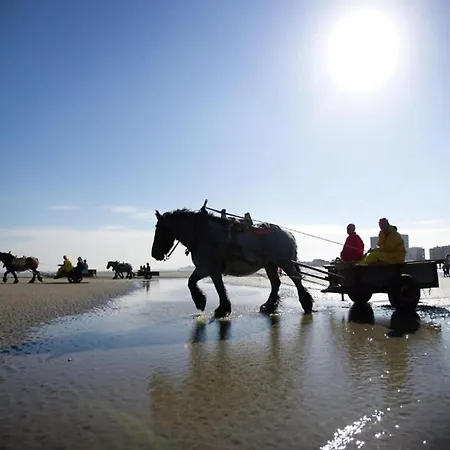 In By The Beach, Cleaning Included * Nieuwpoort